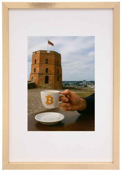 Vilnius (Lithuania) — Gediminas' Tower