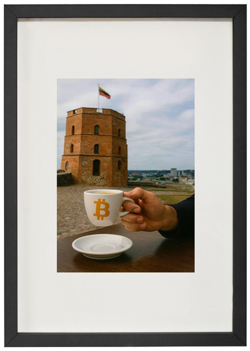 Vilnius (Lithuania) — Gediminas' Tower